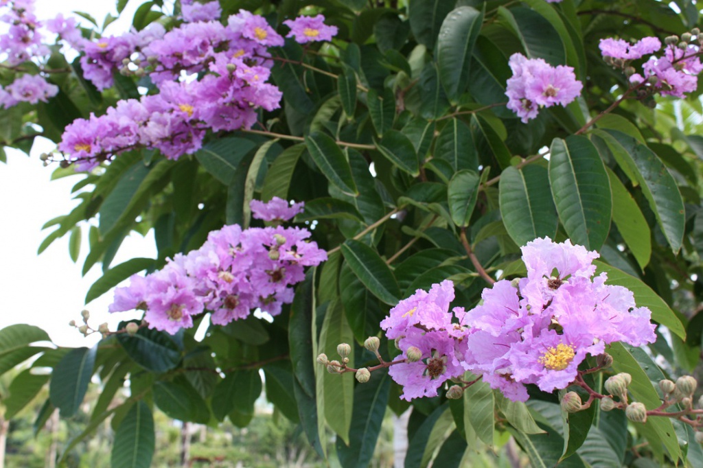 Китай 2010 097.jpg